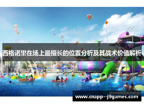 西格诺里在场上最擅长的位置分析及其战术价值解析