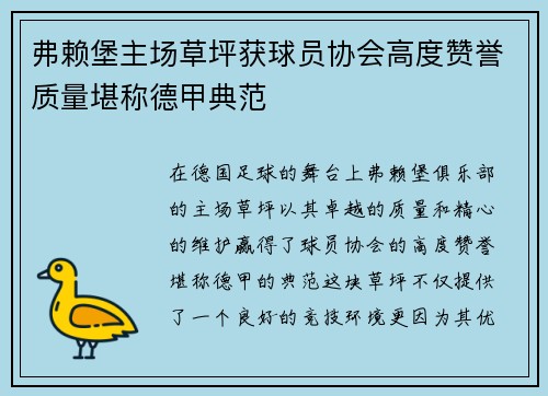 弗赖堡主场草坪获球员协会高度赞誉质量堪称德甲典范