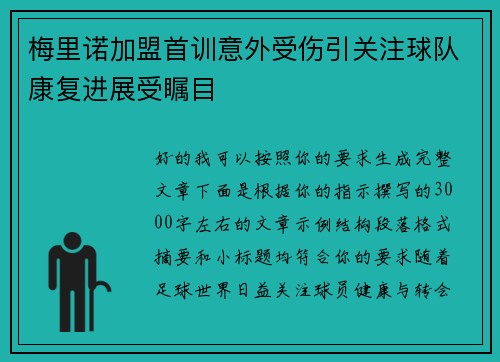 梅里诺加盟首训意外受伤引关注球队康复进展受瞩目
